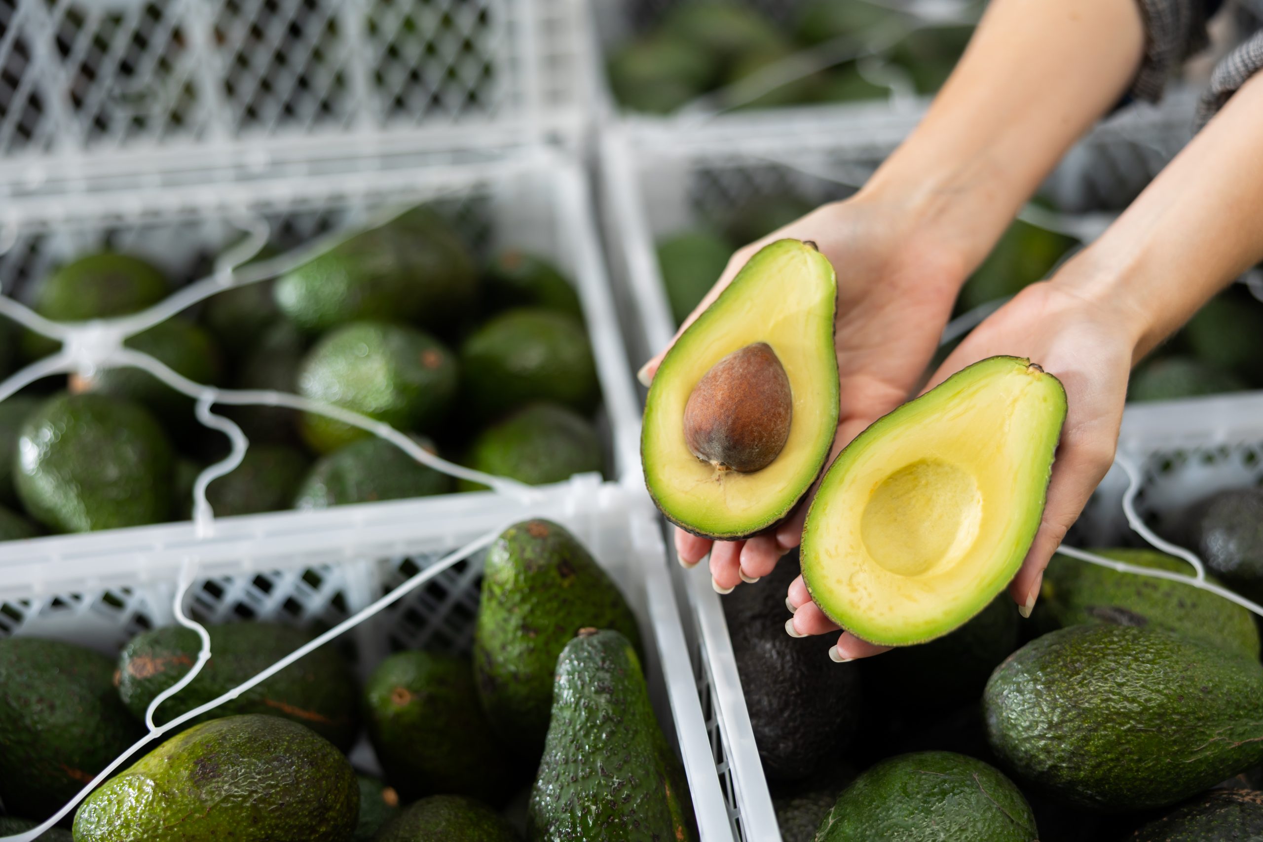 Chile y Brasil avanzan en acuerdos para la exportación de melones y la importación de paltas